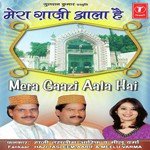 Mera Gaaji Aala Hai - Sona Mohapatra Song Download